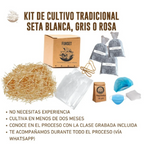 kit-cultivo-hongos-tradicional-2