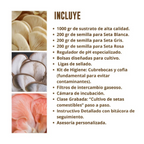kit-triple-cultivo-hongos-3