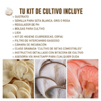 kit-cultivo-hongos-tradicional-4