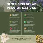 beneficios-plantas-nativas-nuevo-león
