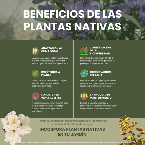 beneficios-plantas-nativas-nuevo-león