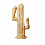 Cactus Decorativo Artesanal
